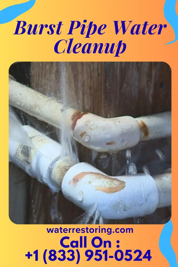 Burst Pipe Water Cleanup in Brock, NE
