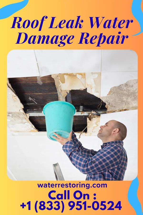 Roof Leak Water Damage Repair in Brock, NE